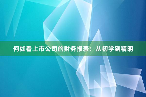 何如看上市公司的财务报表：从初学到精明