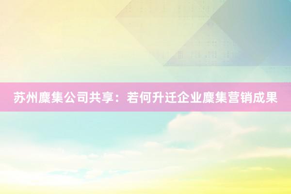 苏州麇集公司共享：若何升迁企业麇集营销成果